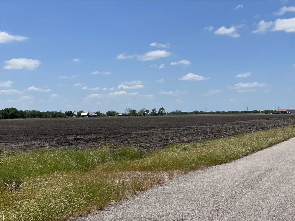 Charlie Meyer Road Damon, TX 77430