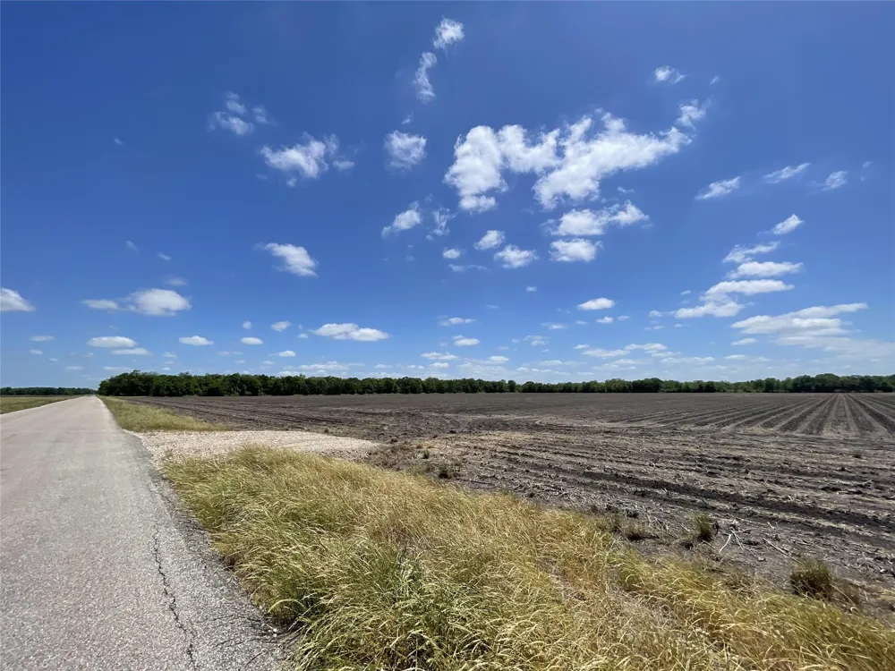 Charlie Meyer Road Damon, TX 77430