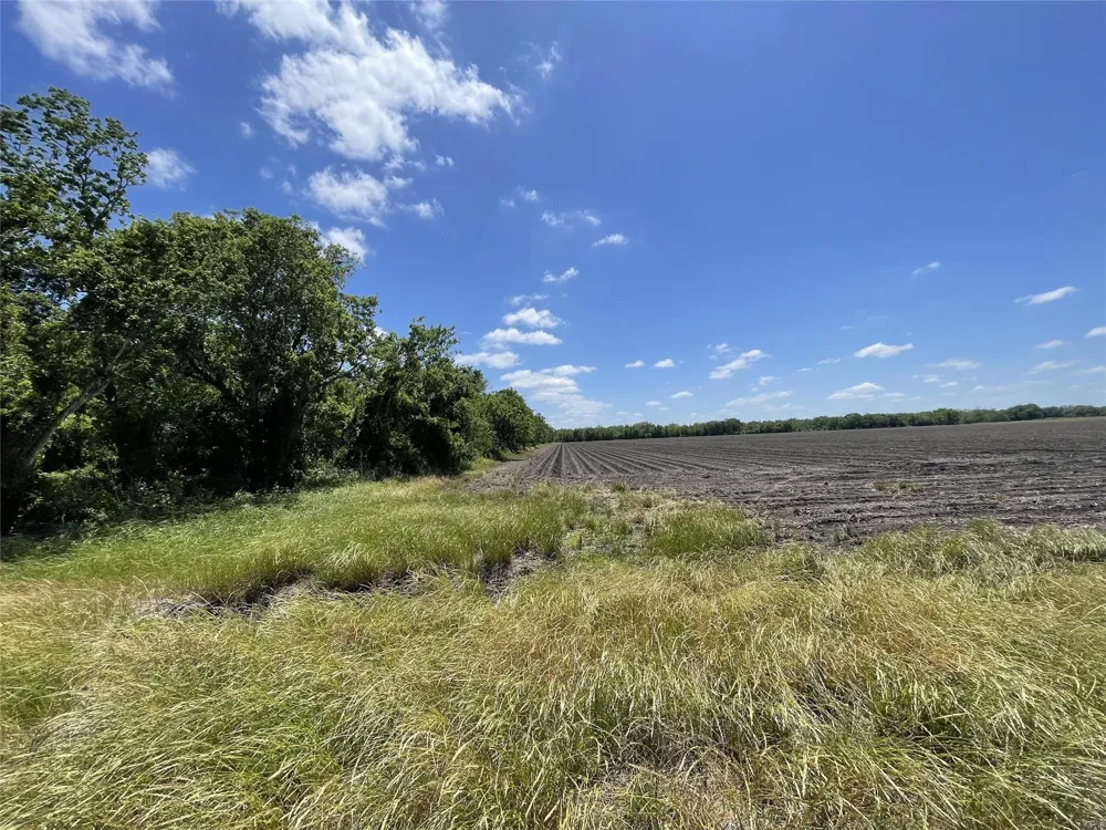 Charlie Meyer Road Damon, TX 77430