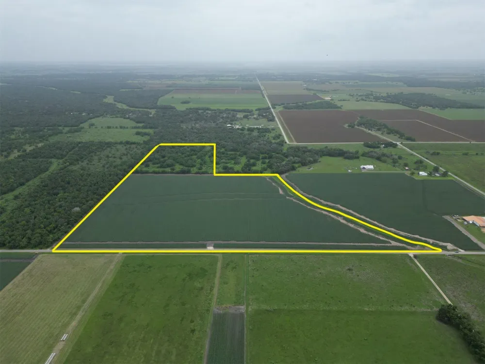 Charlie Meyer Road Damon, TX 77430
