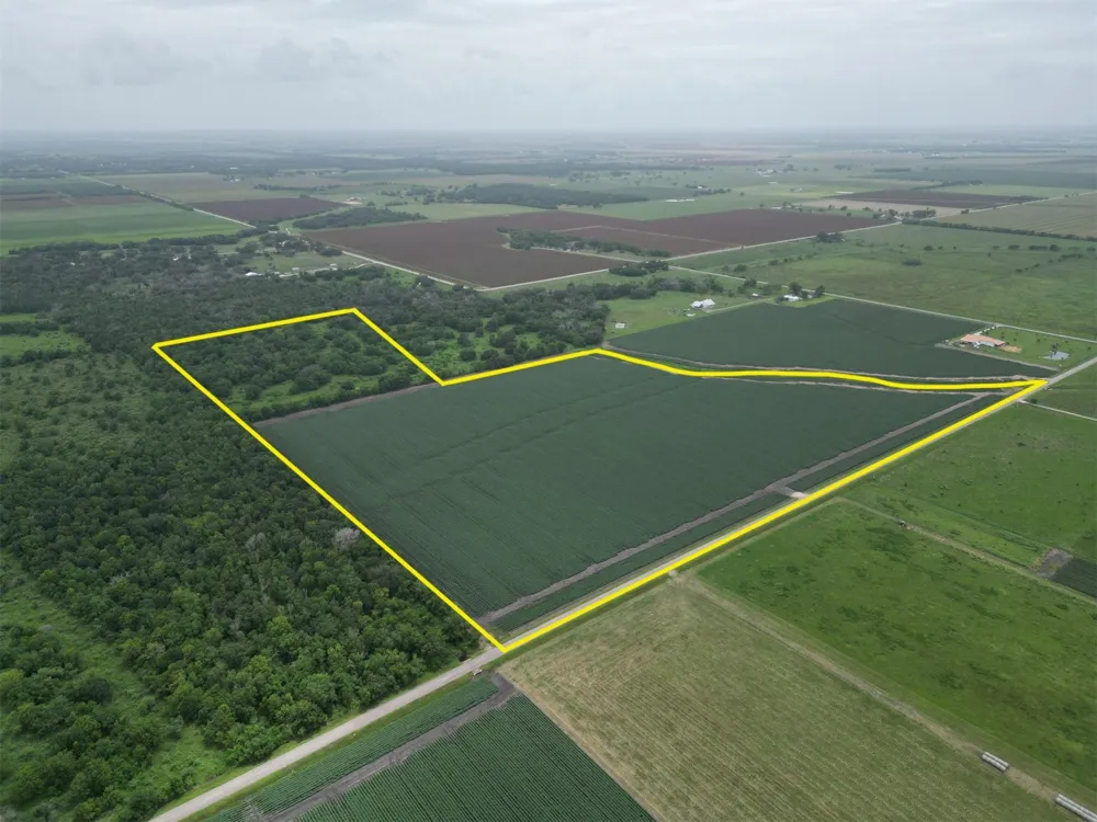Charlie Meyer Road Damon, TX 77430