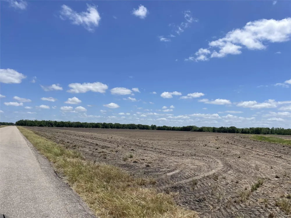 Charlie Meyer Road Damon, TX 77430
