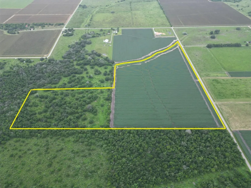 Charlie Meyer Road Damon, TX 77430