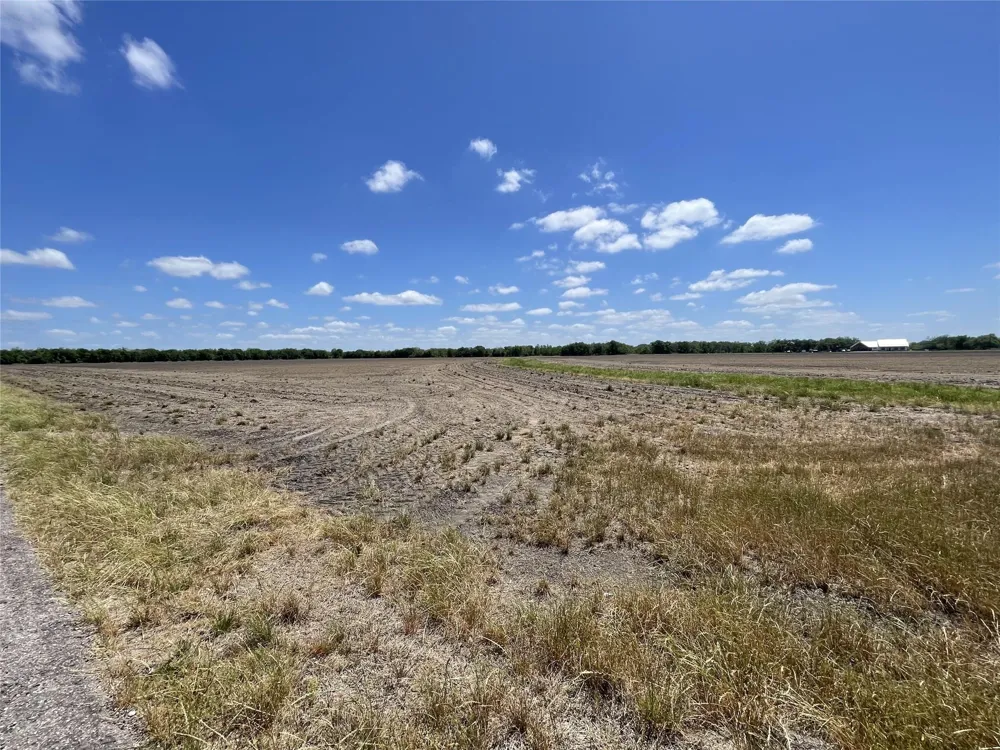 Charlie Meyer Road Damon, TX 77430