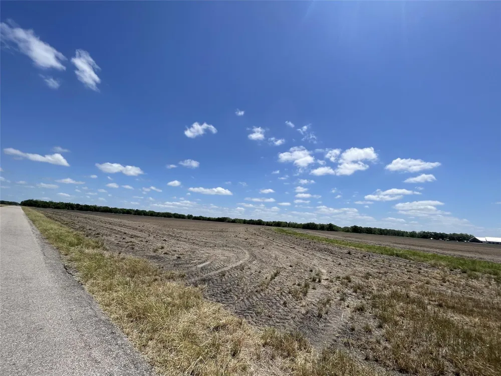 Charlie Meyer Road Damon, TX 77430
