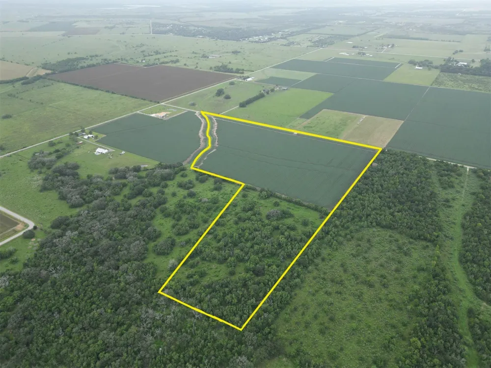 Charlie Meyer Road Damon, TX 77430