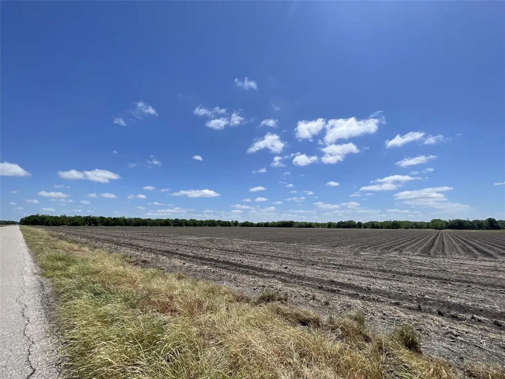 Charlie Meyer Road Damon, TX 77430