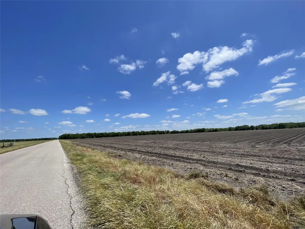 Charlie Meyer Road Damon, TX 77430