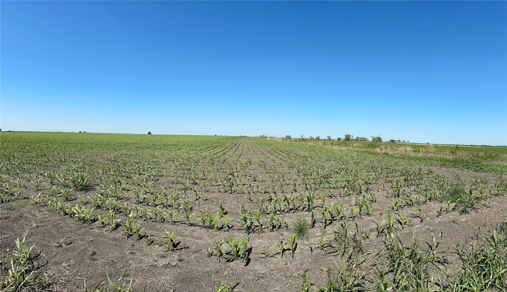 8500 Fork Road Bartlett, TX 76511