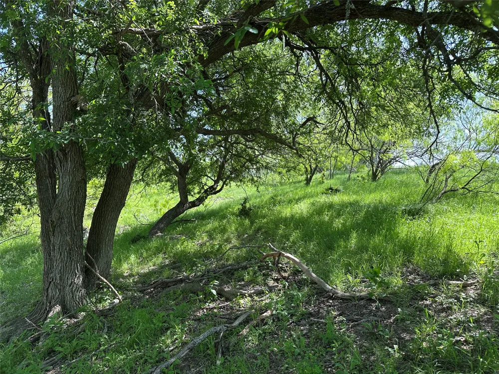8500 Fork Road Bartlett, TX 76511