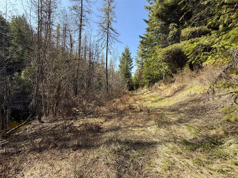 0 TBD Give Out Creek Road Wauconda, WA 98859