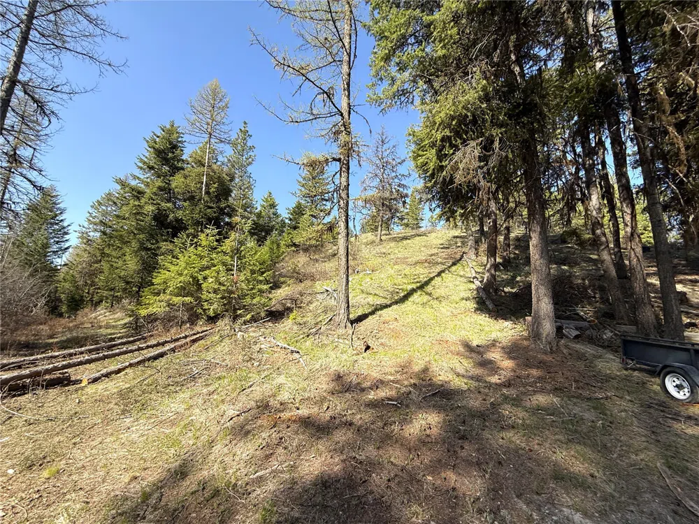 0 TBD Give Out Creek Road Wauconda, WA 98859