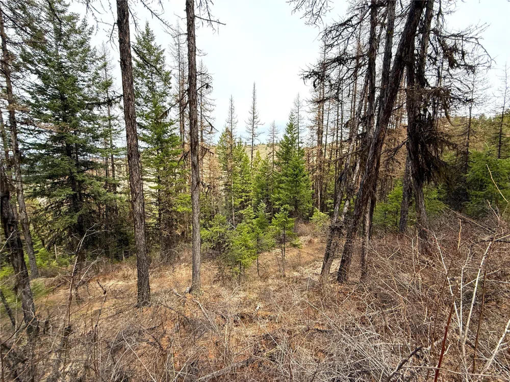 0 TBD Give Out Creek Road Wauconda, WA 98859