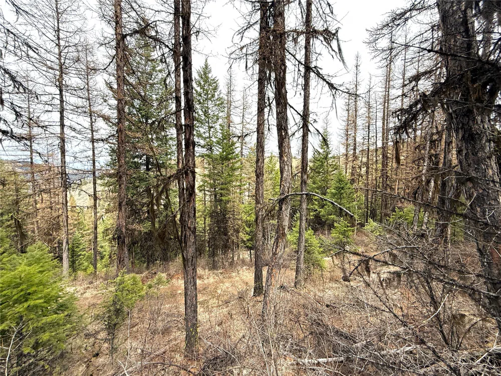 0 TBD Give Out Creek Road Wauconda, WA 98859