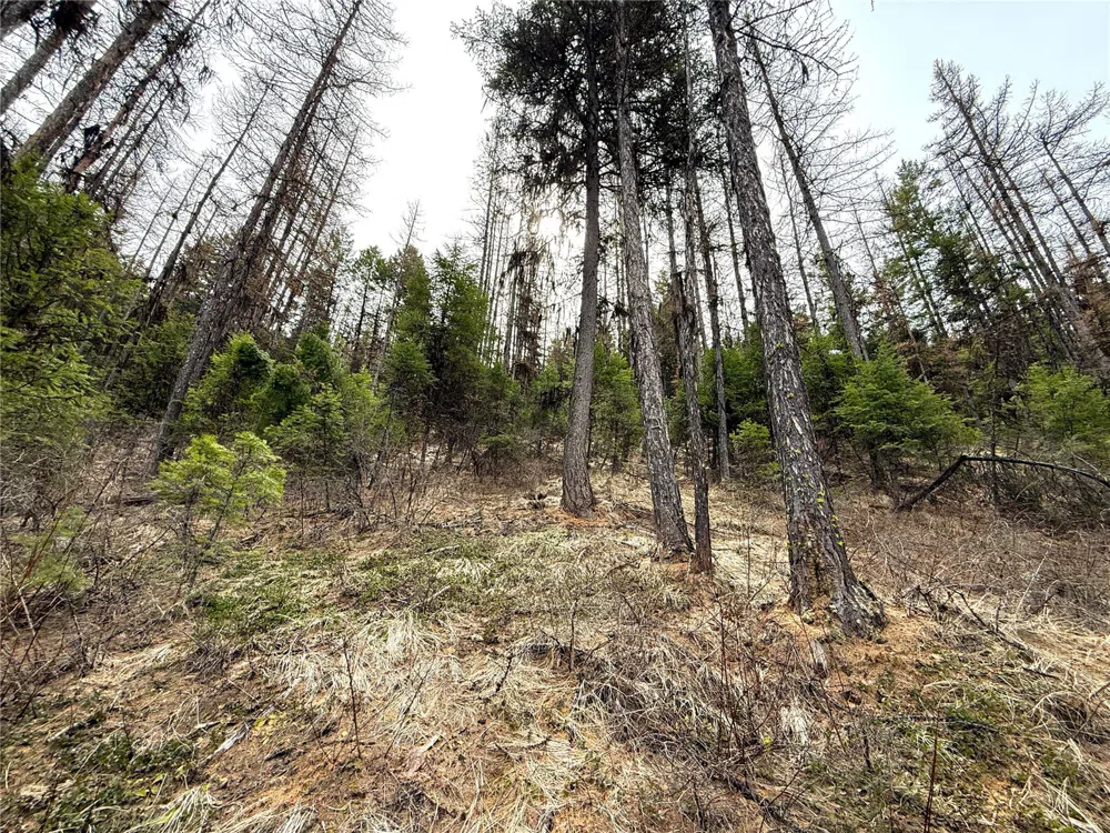 0 TBD Give Out Creek Road Wauconda, WA 98859