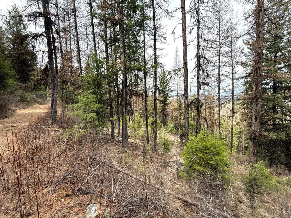 0 TBD Give Out Creek Road Wauconda, WA 98859