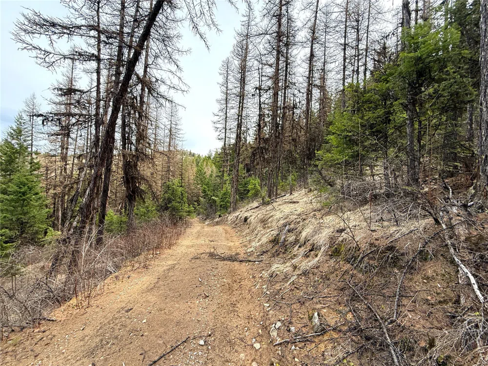 0 TBD Give Out Creek Road Wauconda, WA 98859