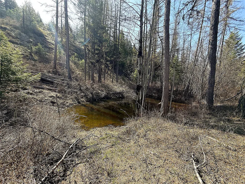 0 TBD Give Out Creek Road Wauconda, WA 98859