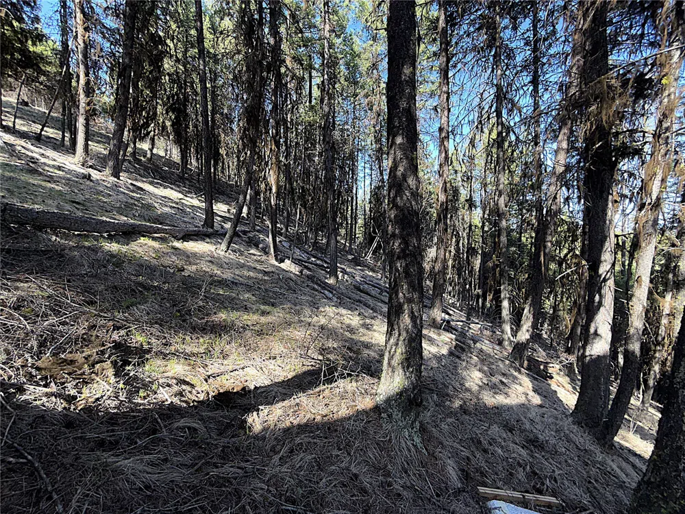 0 TBD Give Out Creek Road Wauconda, WA 98859