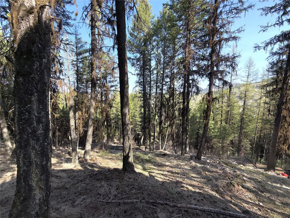 0 TBD Give Out Creek Road Wauconda, WA 98859