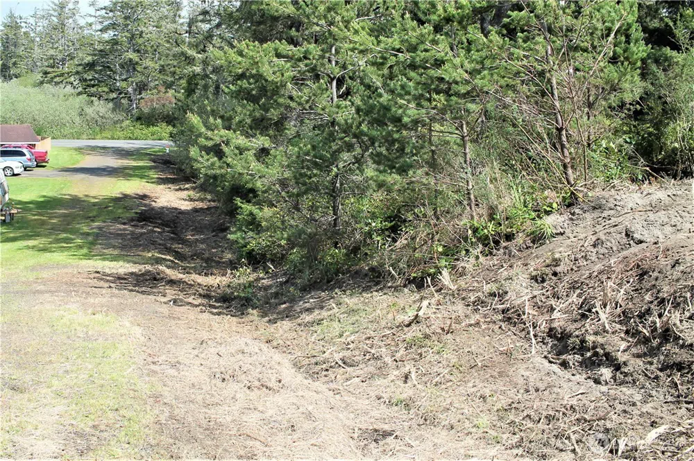 605 W Claymore Lane Westport, WA 98595