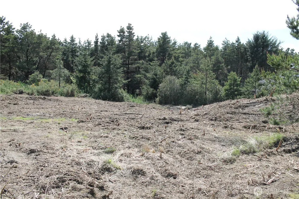 605 W Claymore Lane Westport, WA 98595