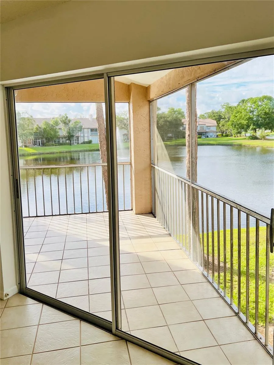 114 CLAYS TRAIL #114 Oldsmar, FL 34677