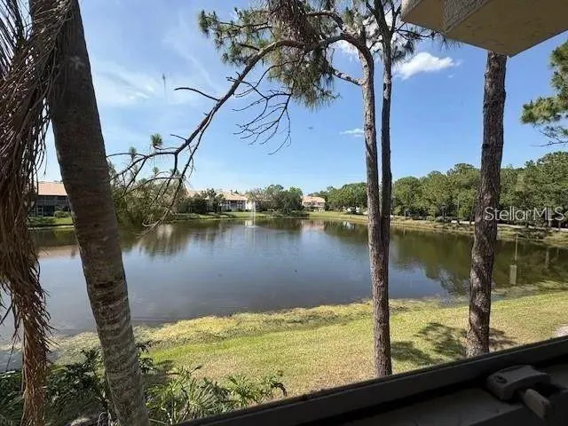 114 CLAYS TRAIL #114 Oldsmar, FL 34677
