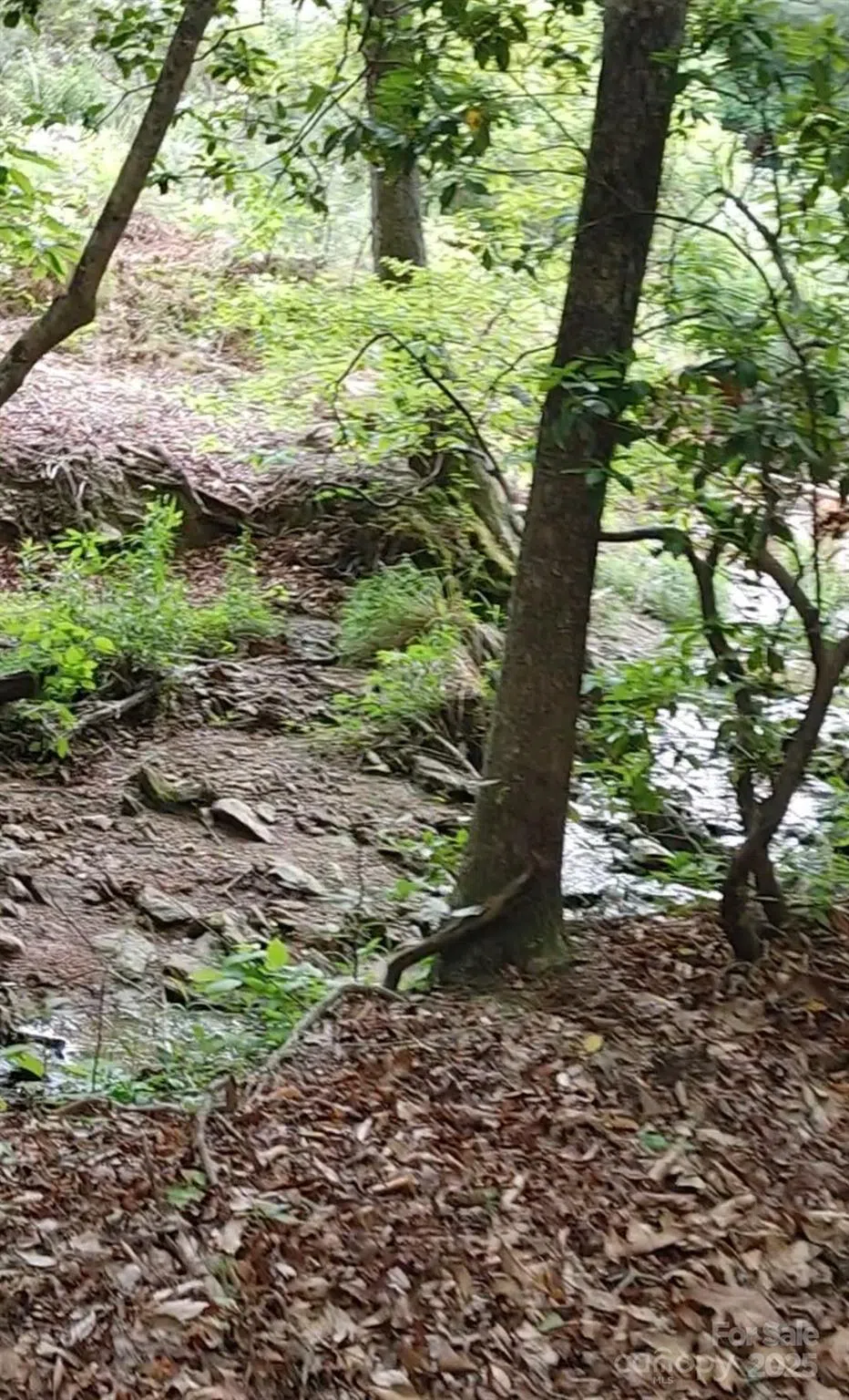 5610 Creeks Edge Lane Granite Falls, NC 28630