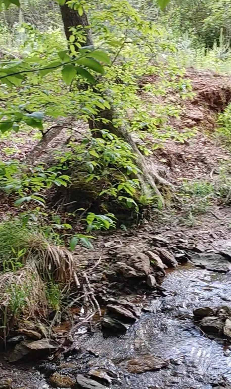 5610 Creeks Edge Lane Granite Falls, NC 28630