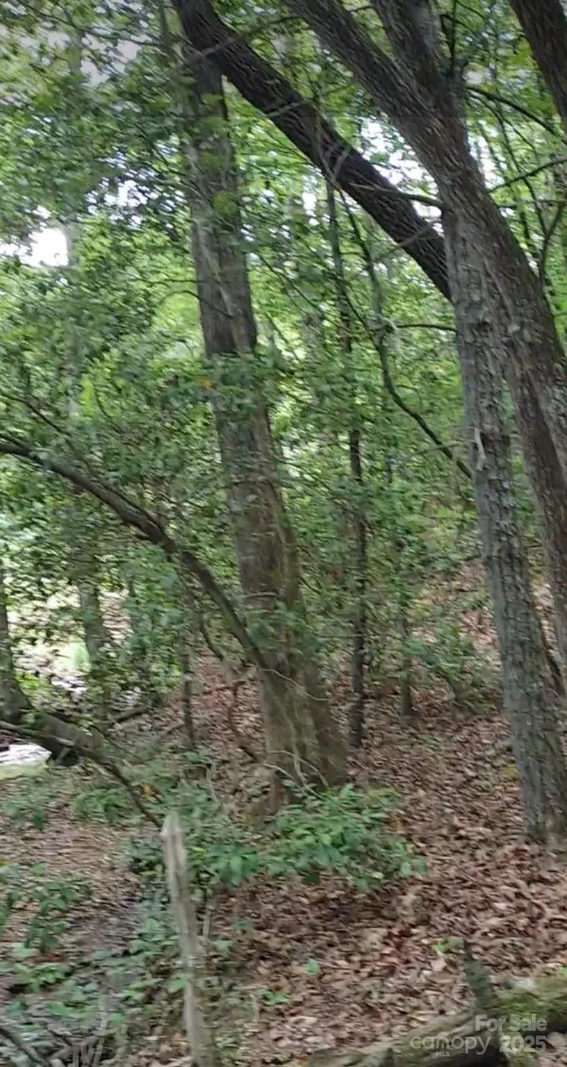 5610 Creeks Edge Lane Granite Falls, NC 28630