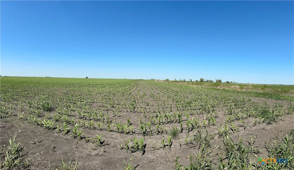8500 Fork Road Bartlett, TX 76511