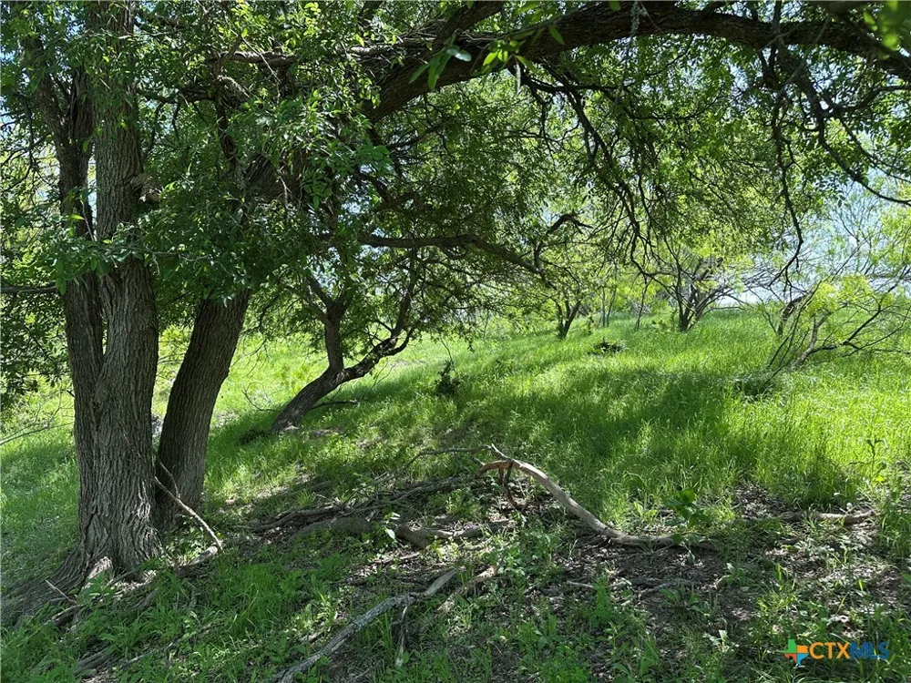 8500 Fork Road Bartlett, TX 76511