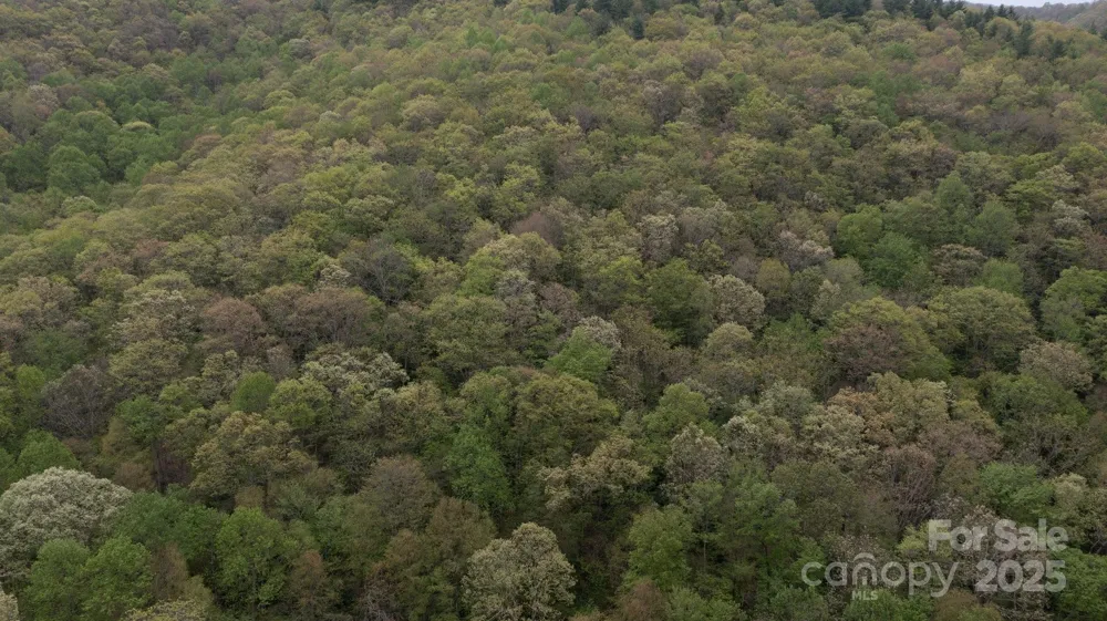 TBD Clear Creek Road Burnsville, NC 28714