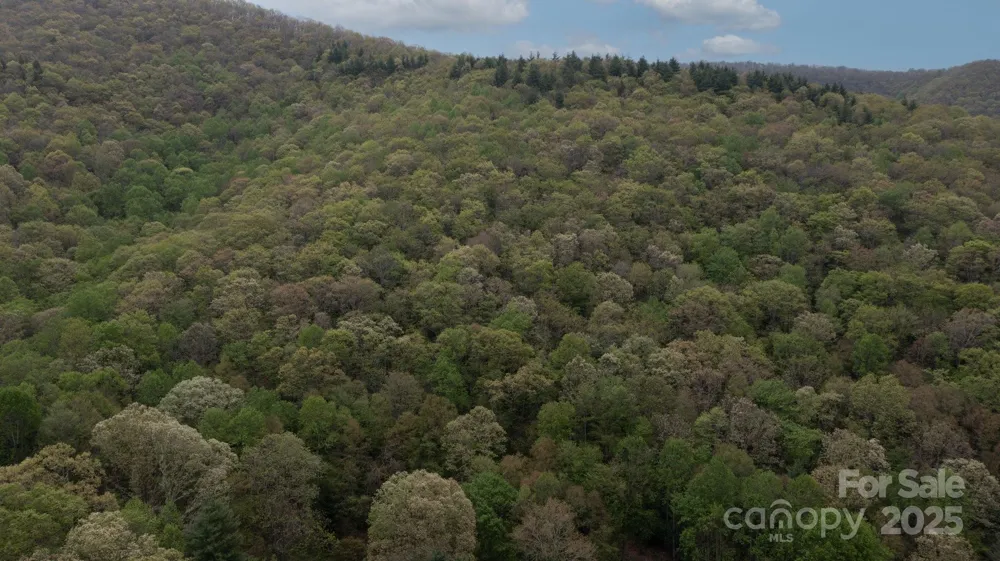 TBD Clear Creek Road Burnsville, NC 28714