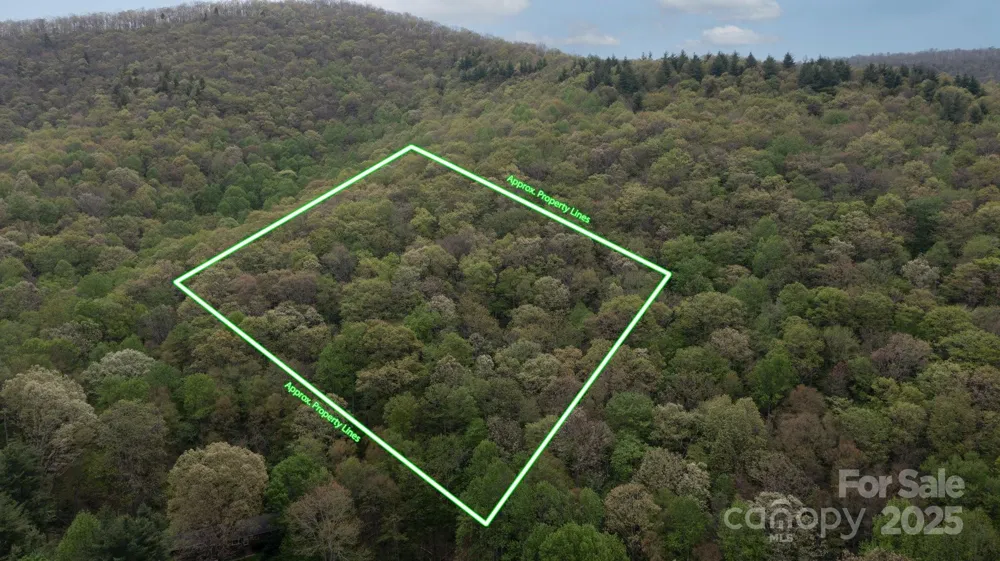 TBD Clear Creek Road Burnsville, NC 28714