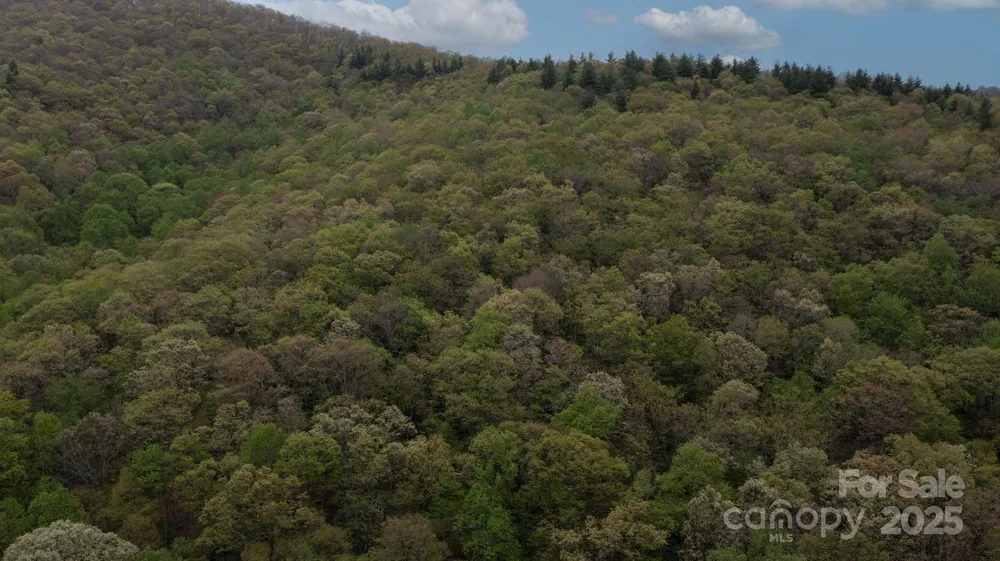 TBD Clear Creek Road Burnsville, NC 28714
