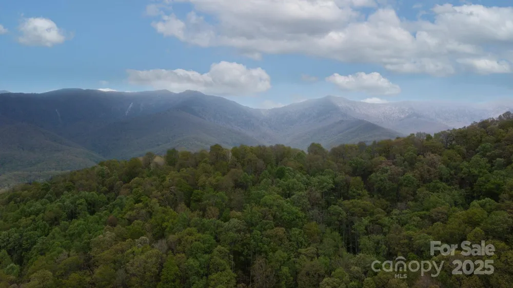 TBD Clear Creek Road Burnsville, NC 28714