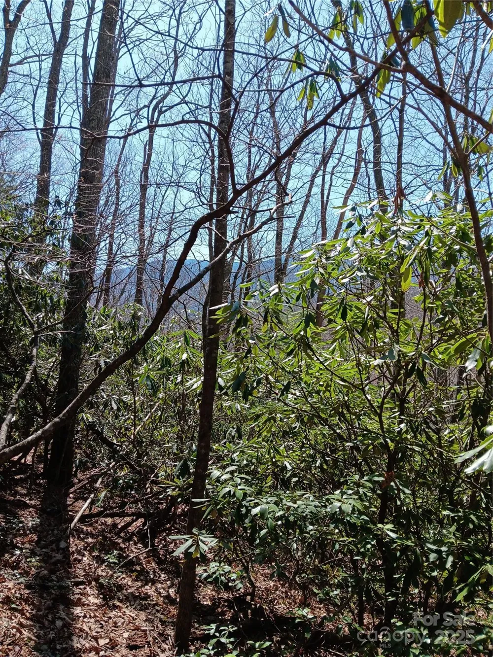TBD Clear Creek Road Burnsville, NC 28714