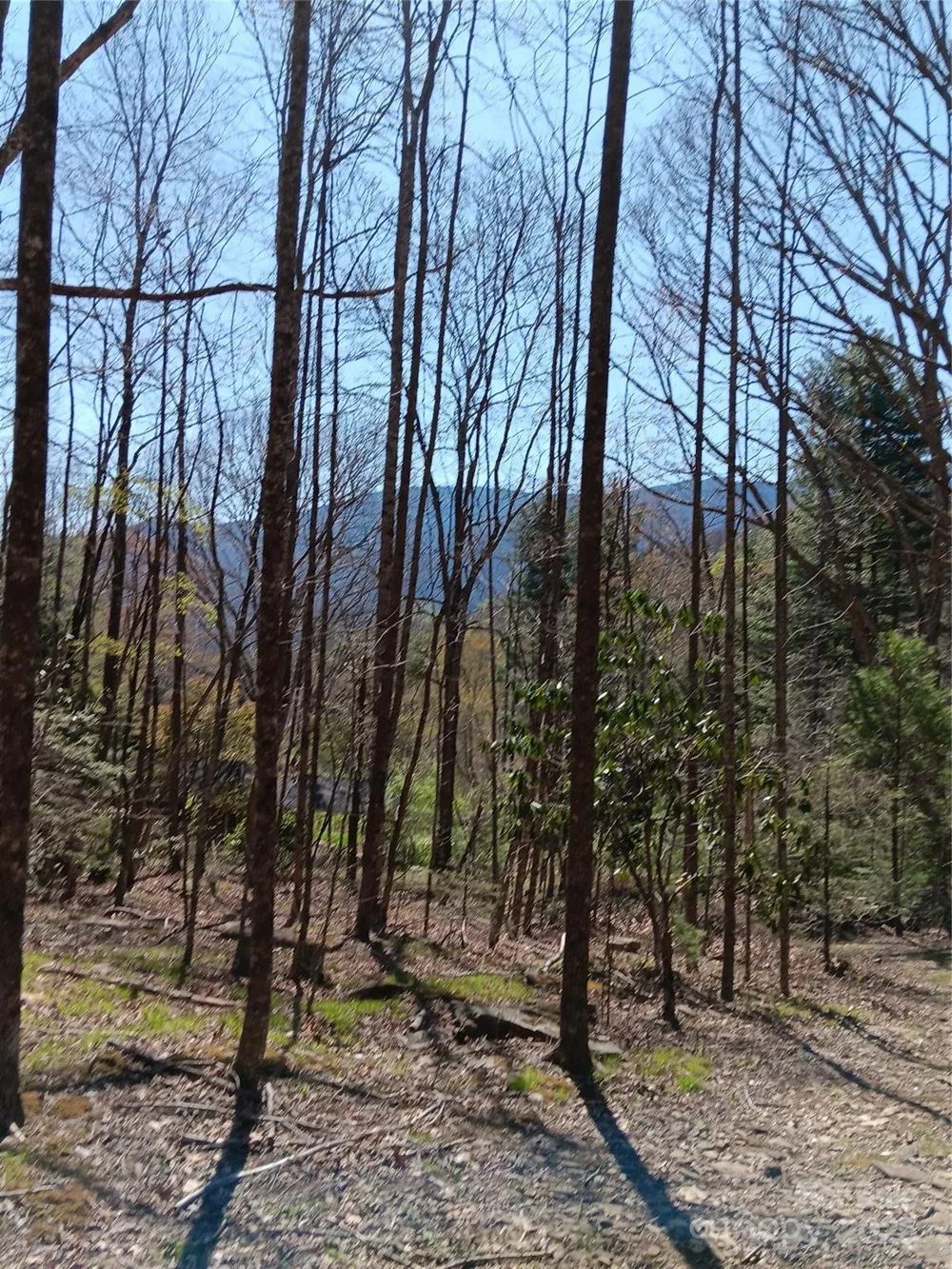 TBD Clear Creek Road Burnsville, NC 28714