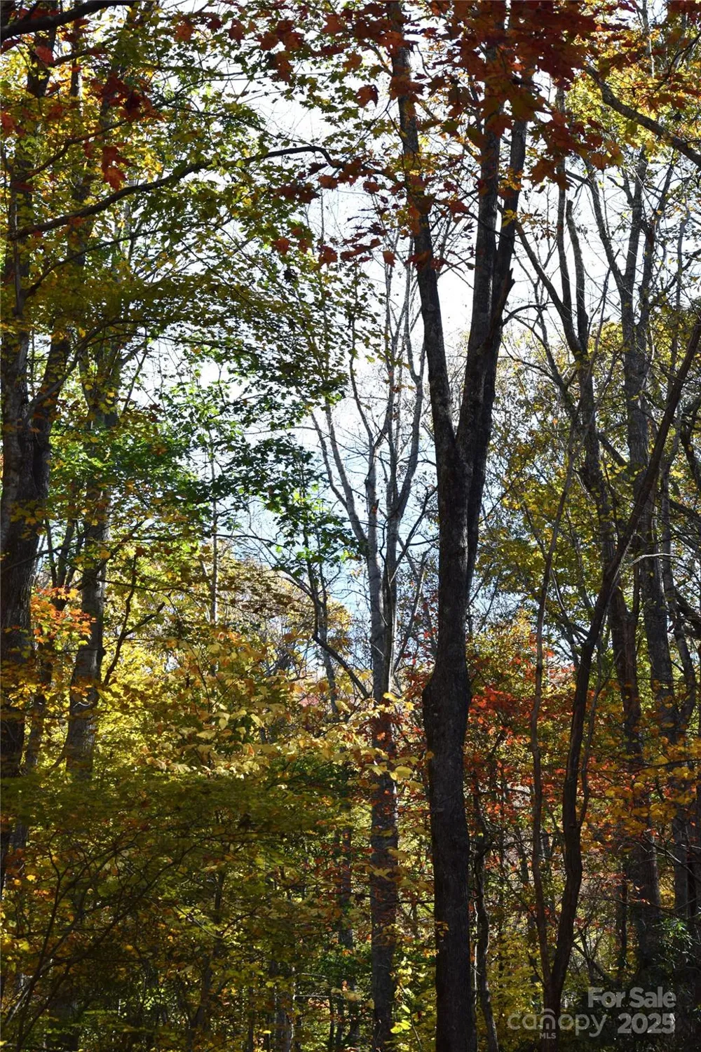 TBD Clear Creek Road Burnsville, NC 28714