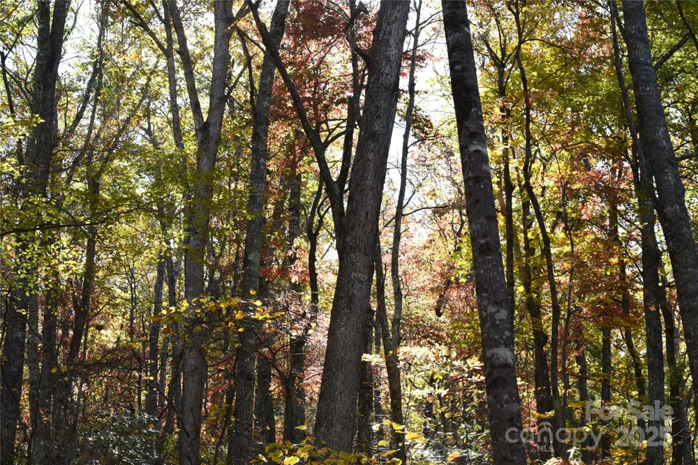 TBD Clear Creek Road Burnsville, NC 28714