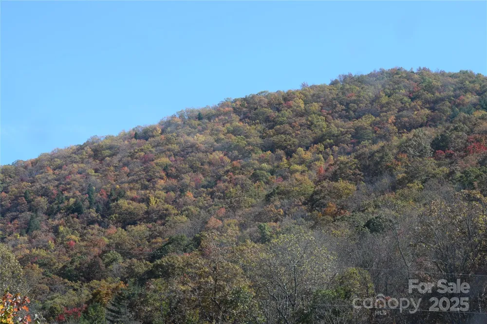 TBD Clear Creek Road Burnsville, NC 28714