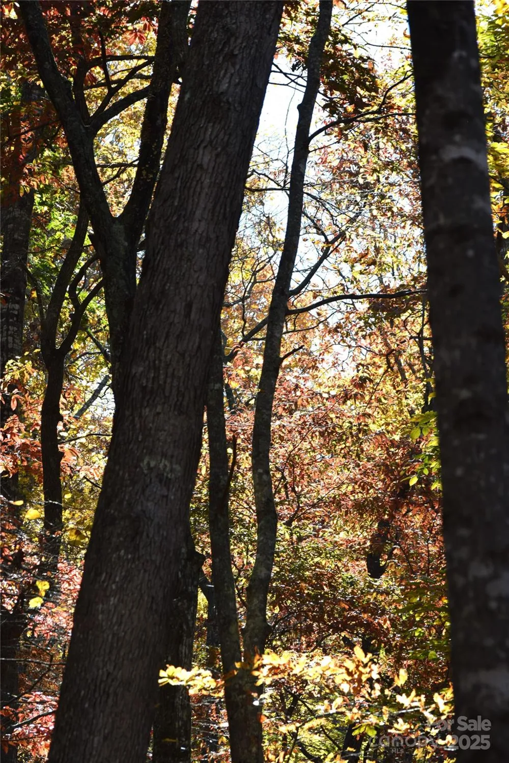 TBD Clear Creek Road Burnsville, NC 28714