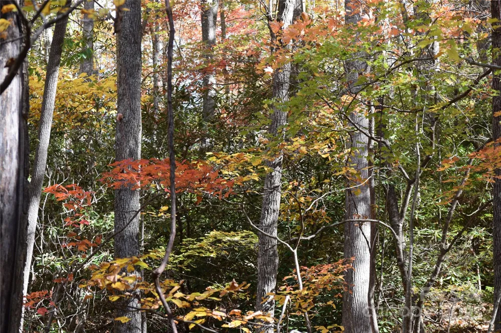 TBD Clear Creek Road Burnsville, NC 28714