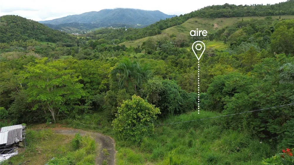 Lot 7 Km 61 PR-3 Int DAGUAO WARD Ceiba, PR 00735