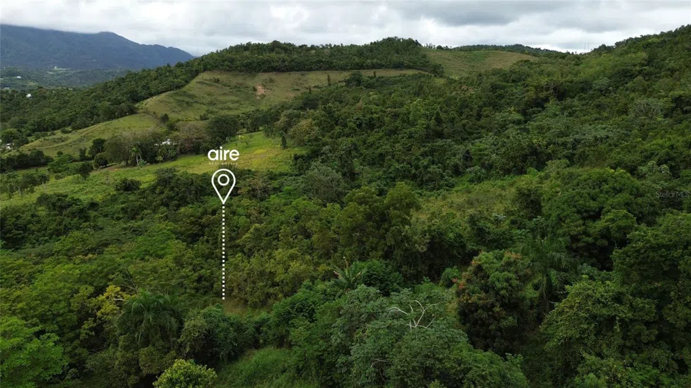 Lot 7 Km 61 PR-3 Int DAGUAO WARD Ceiba, PR 00735