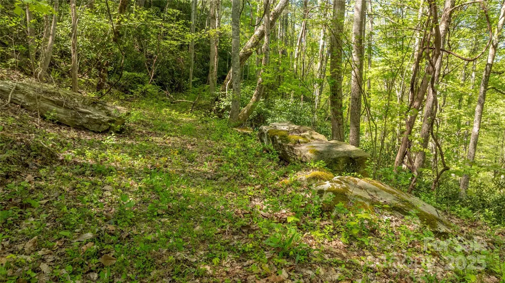 0000 Whispering Woods Path #95-A Mars Hill, NC 28754