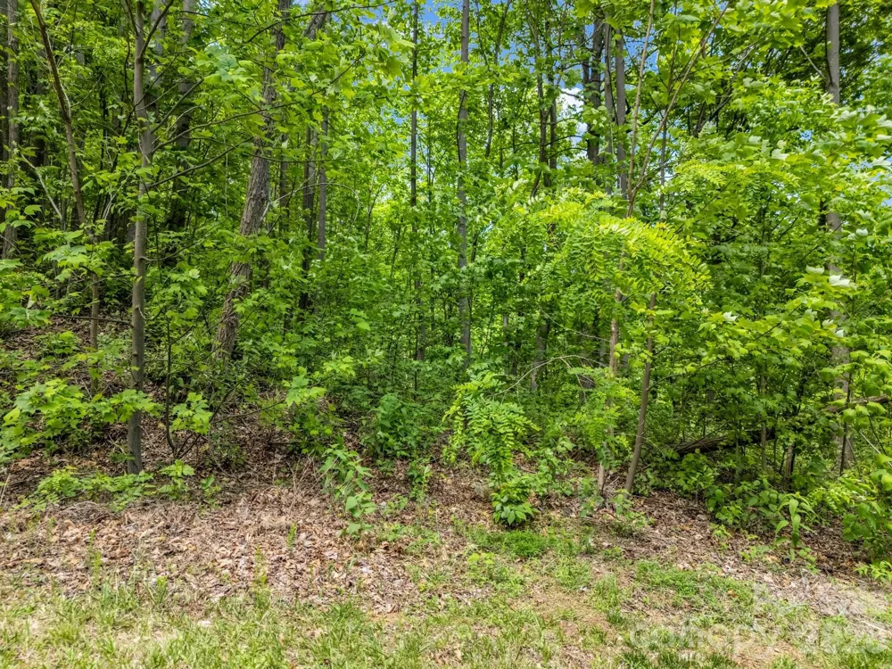 0 Ragans Pointe #31 Columbus, NC 28722