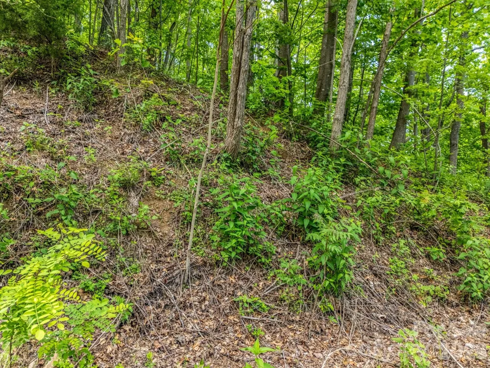 0 Ragans Pointe #31 Columbus, NC 28722
